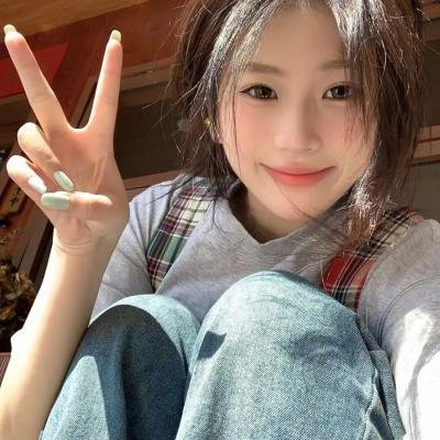 抵挡计划